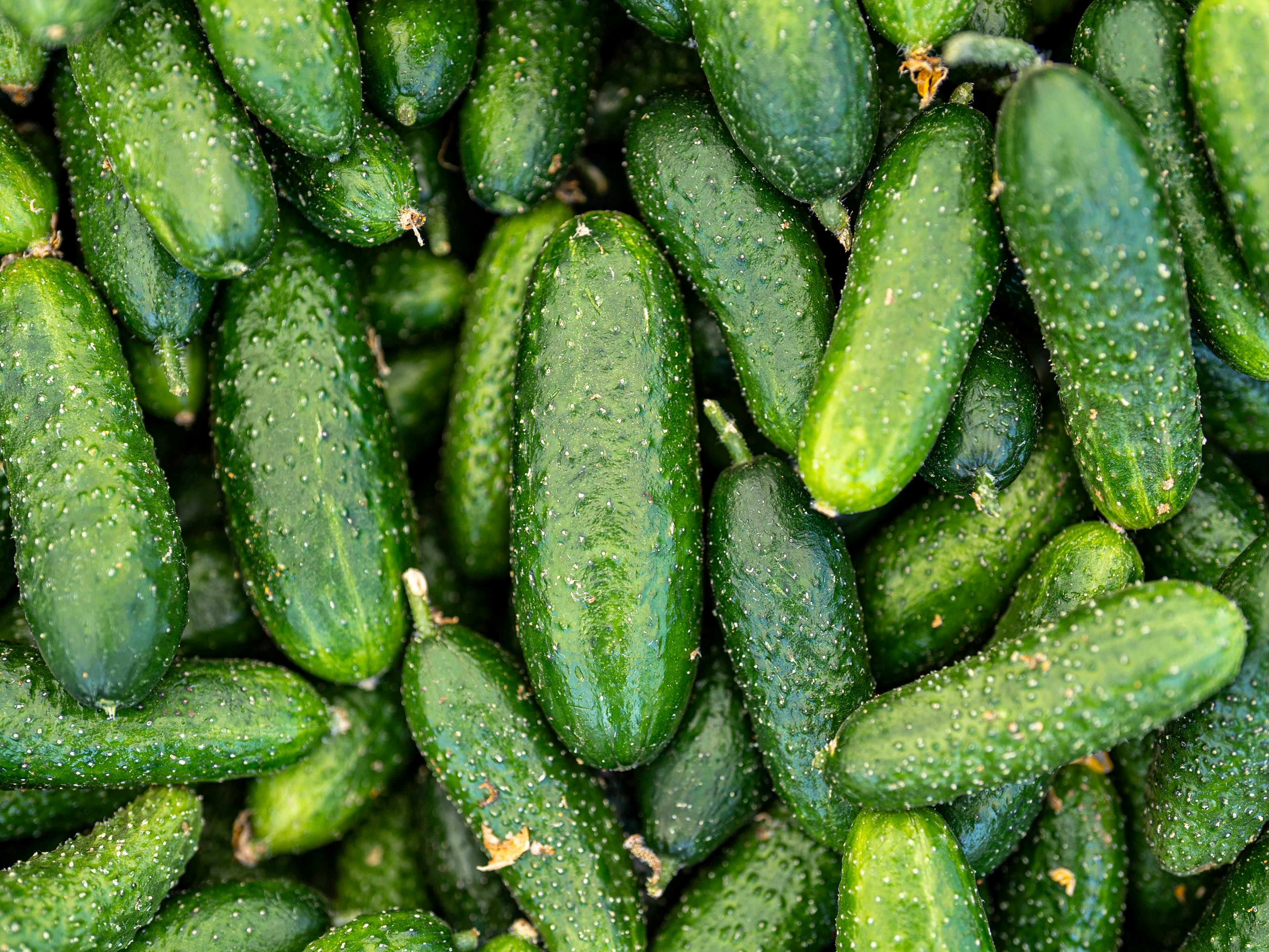 阳台蔬菜种植节水管理技巧